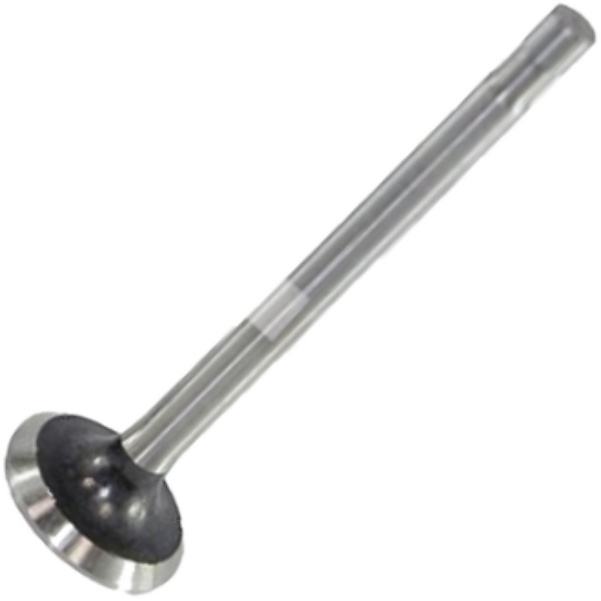 Válvula de Escape - Mahle Metal Leve - VE0590042 STD
