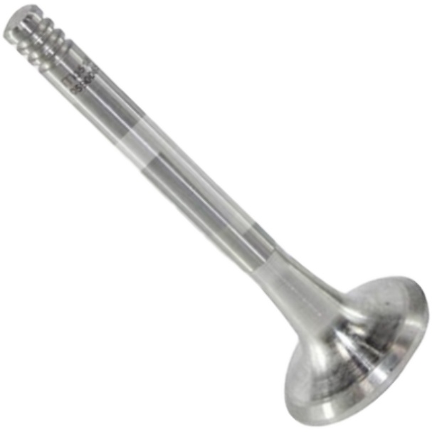 Válvula de Escape - Mahle Metal Leve - VE0590065 STD