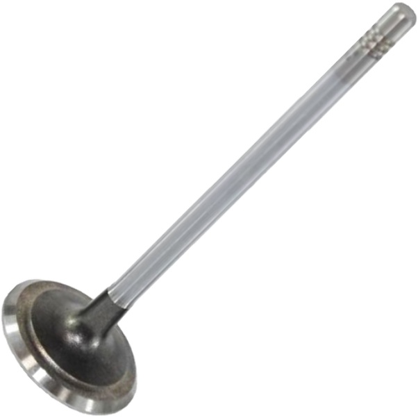 Válvula de Escape - Mahle Metal Leve - VE0590171 STD
