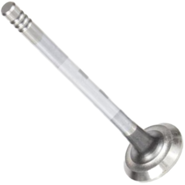 Válvula de Escape - Mahle Metal Leve - VE0590173 STD