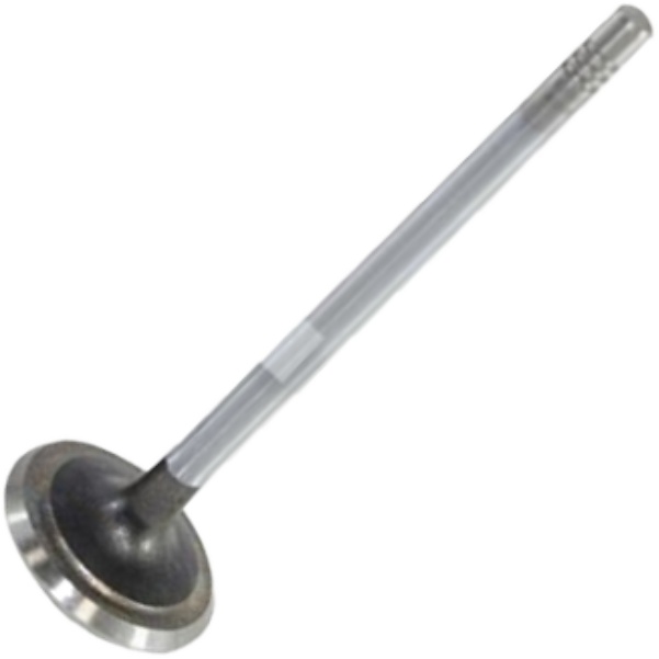 Válvula de Escape - Mahle Metal Leve - VE0590175 STD