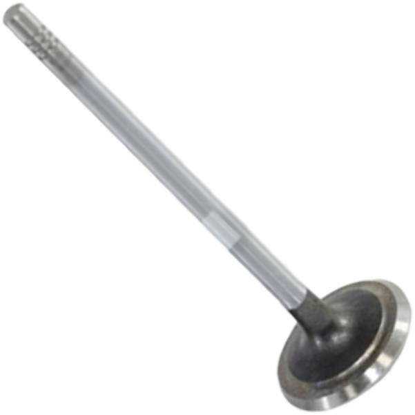 Válvula de Escape - Mahle Metal Leve - VE0590175 STD