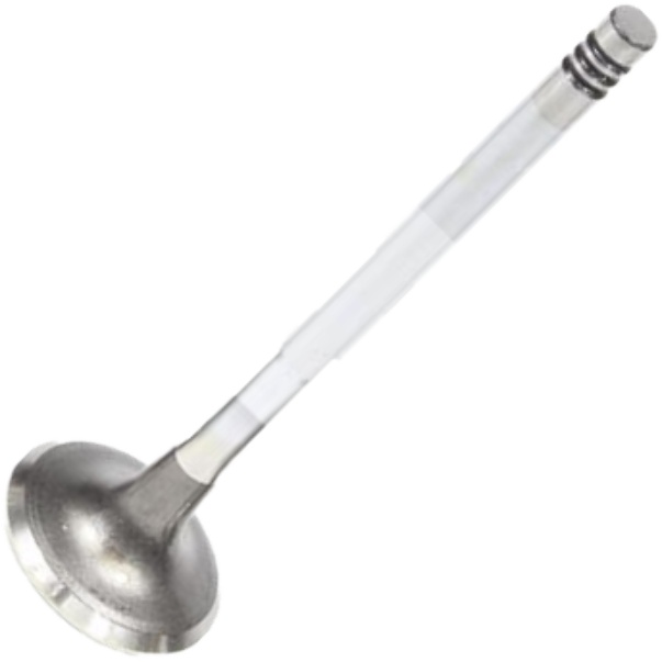 Válvula de Escape - Mahle Metal Leve - VE0590182 STD