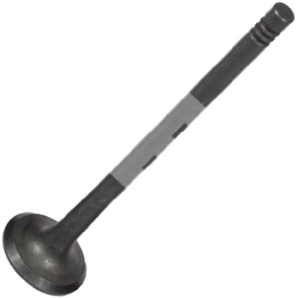 Válvula de Escape - Mahle Metal Leve - VE0591472 STD