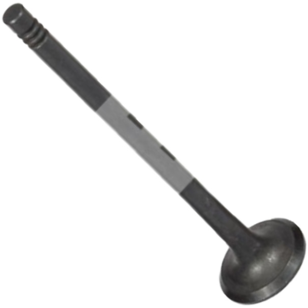 Válvula de Escape - Mahle Metal Leve - VE0591472 STD