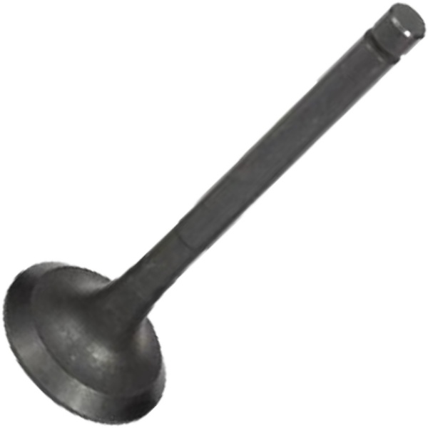Válvula de Escape para Toyota Hilux e Hilux SW4 - Mahle Metal Leve - VE0630241 STD