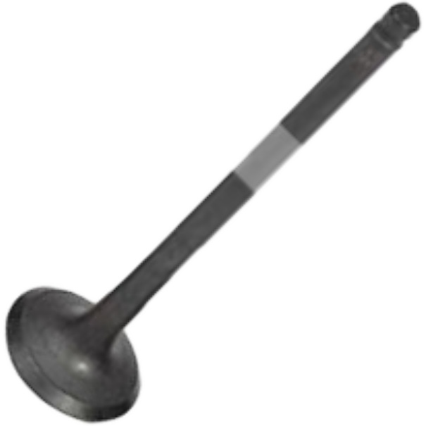 Válvula de Escape - Mahle Metal Leve - VE0631641 STD