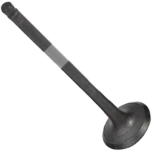 Válvula de Escape - Mahle Metal Leve - VE0631641 STD