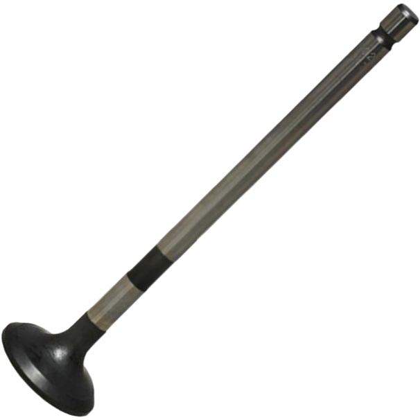 Válvula de Escape - Mahle Metal Leve - VE0631774 STD