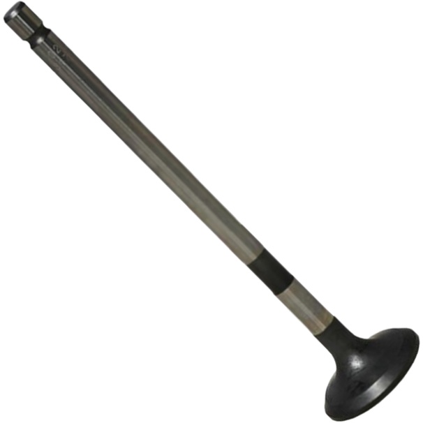 Válvula de Escape - Mahle Metal Leve - VE0631774 STD