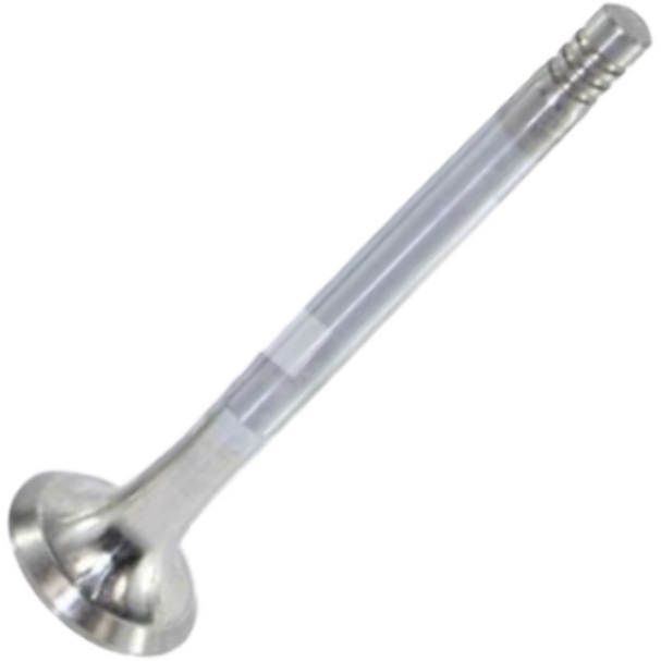Válvula de Escape - Mahle Metal Leve - VE0700021 STD