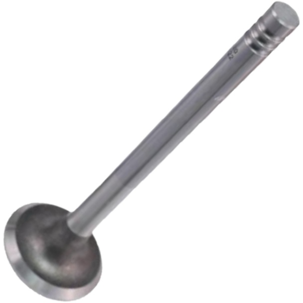 Válvula de Escape - Mahle Metal Leve - VE0700022 STD