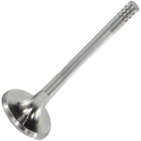 Válvula de Escape - Mahle Metal Leve - VE0700087 STD