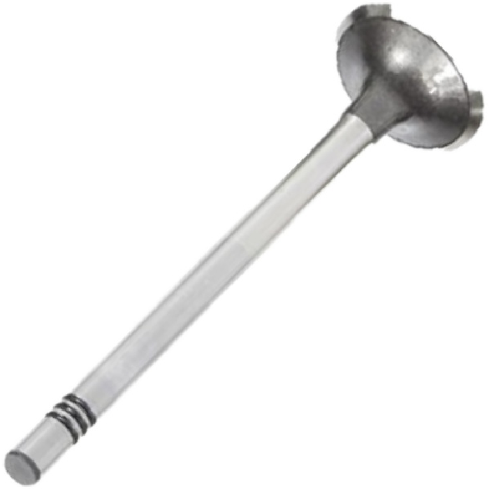 Válvula de Escape para Volkswagen Amarok - Mahle Metal Leve - VE0701559 STD