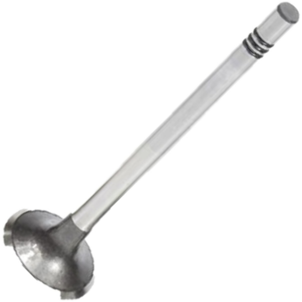 Válvula de Escape para Volkswagen Amarok - Mahle Metal Leve - VE0701559 STD