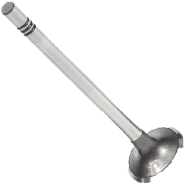Válvula de Escape para Volkswagen Amarok - Mahle Metal Leve - VE0701559 STD