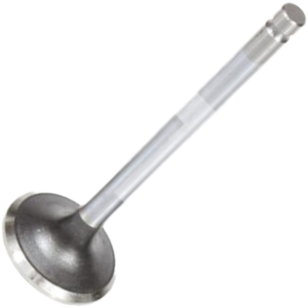 Válvula de Escape para ASIA Towner - Mahle Metal Leve - VE0720157 STD