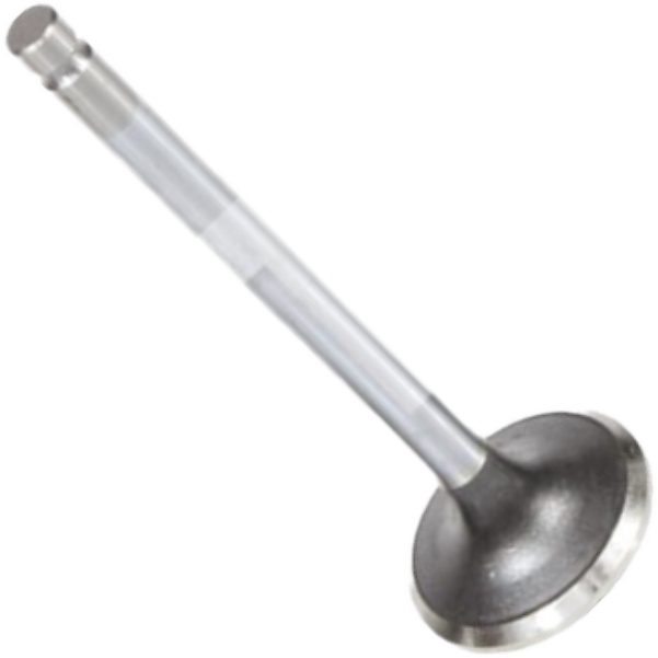 Válvula de Escape para ASIA Towner - Mahle Metal Leve - VE0720157 STD