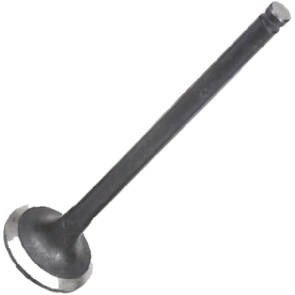 Válvula de Escape - Mahle Metal Leve - VE1950224 STD