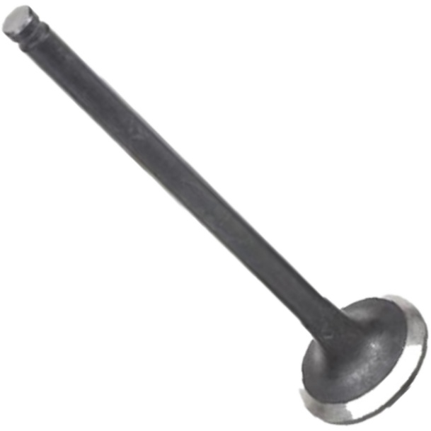 Válvula de Escape - Mahle Metal Leve - VE1950224 STD