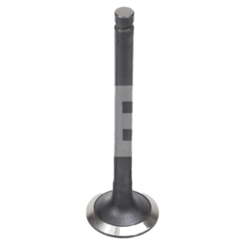 Válvula de Escape para KIA Besta e Bongo - Mahle Metal Leve - VE2110186 STD