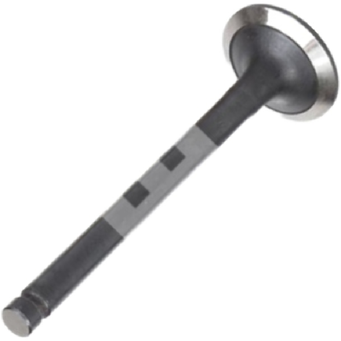 Válvula de Escape para KIA Besta e Bongo - Mahle Metal Leve - VE2110186 STD
