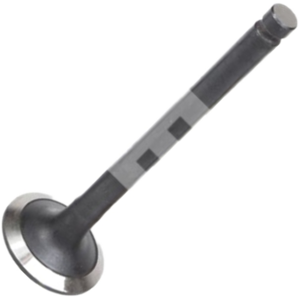 Válvula de Escape para KIA Besta e Bongo - Mahle Metal Leve - VE2110186 STD