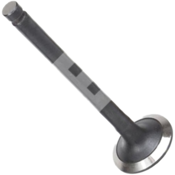Válvula de Escape para KIA Besta e Bongo - Mahle Metal Leve - VE2110186 STD