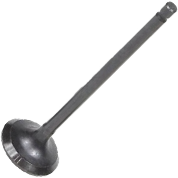 Válvula de Escape para JAC J2 e J3 - Mahle Metal Leve - VE3551557 STD