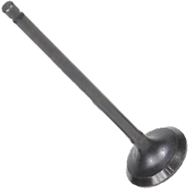 Válvula de Escape para JAC J2 e J3 - Mahle Metal Leve - VE3551557 STD
