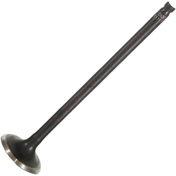 Válvula de Escape para Suzuki Intruder 125 e YES 125 - Mahle Metal Leve - VE5081717 STD