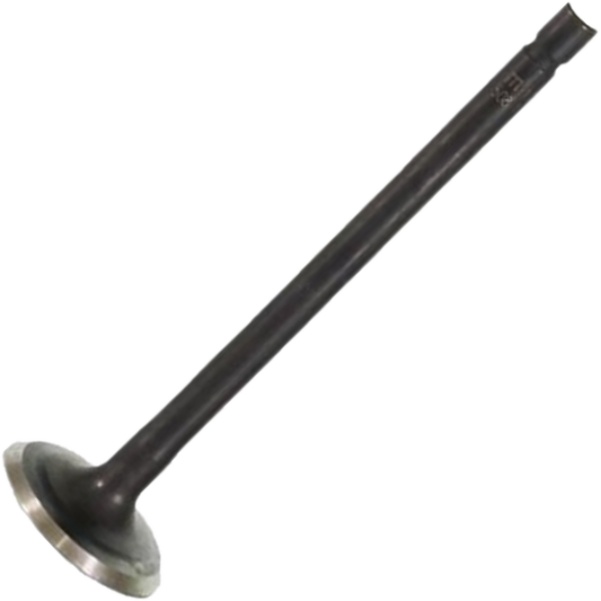 Válvula de Escape para Suzuki Burgman AN 125 - Mahle Metal Leve - VE5081719 STD