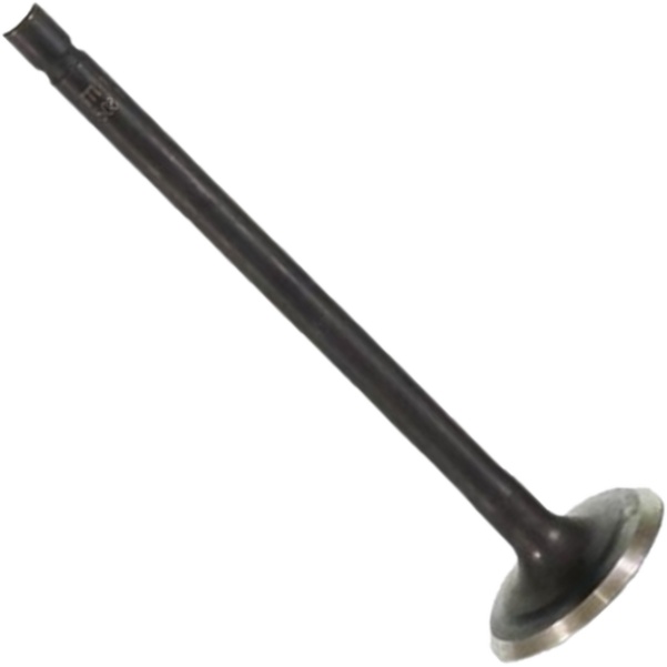 Válvula de Escape para Suzuki Burgman AN 125 - Mahle Metal Leve - VE5081719 STD