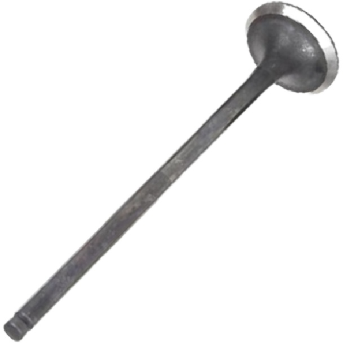 Válvula de Escape para Honda Civic - Mahle Metal Leve - VE5511569 STD