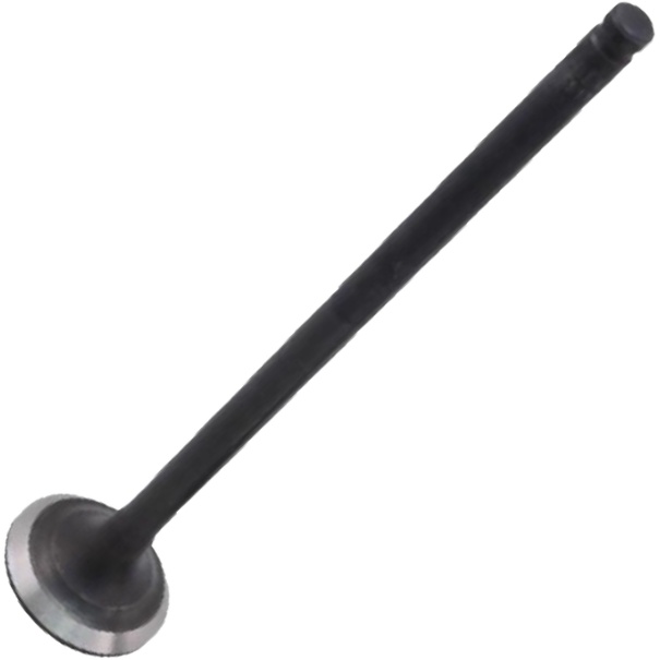 Válvula de Escape - Mahle Metal Leve - VE5511769 STD