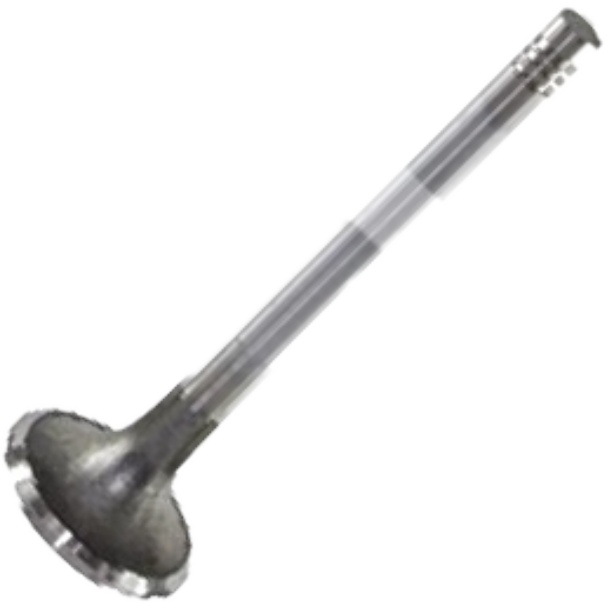 Válvula de Escape - Mahle Metal Leve - VE0130010 STD