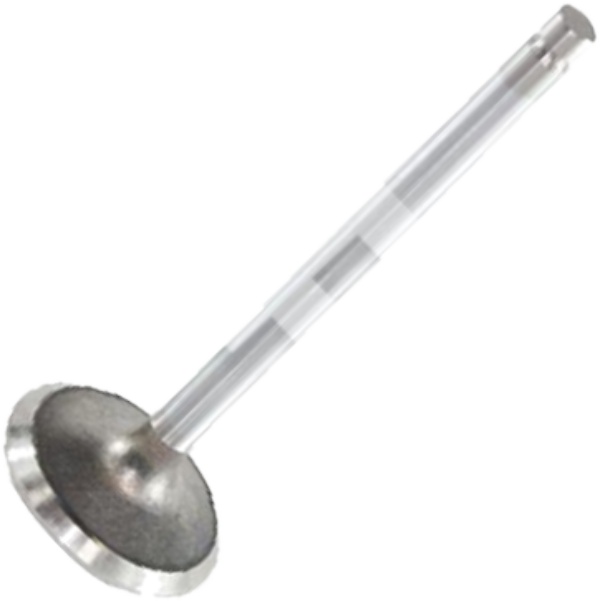 Válvula de Escape - Mahle Metal Leve - VE0130100 STD