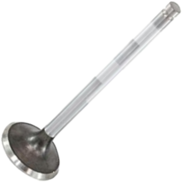 Válvula de Escape - Mahle Metal Leve - VE0210152 STD