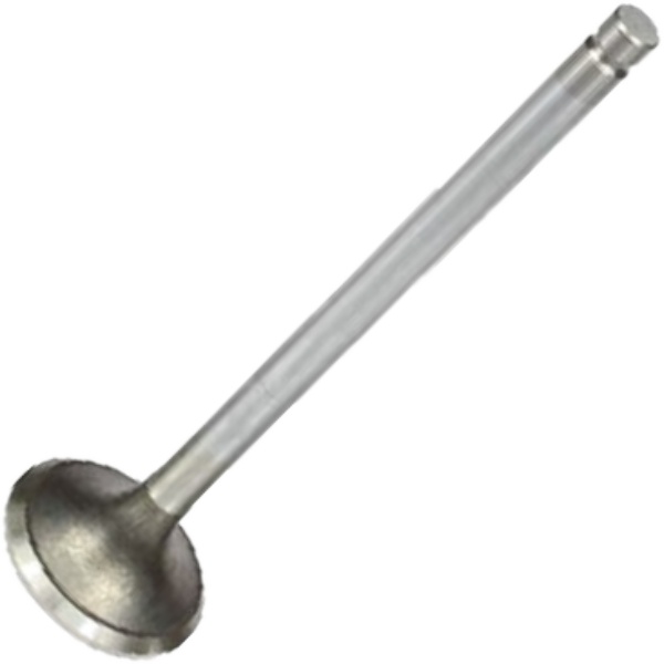 Válvula de Escape - Mahle Metal Leve - VE0310274 STD