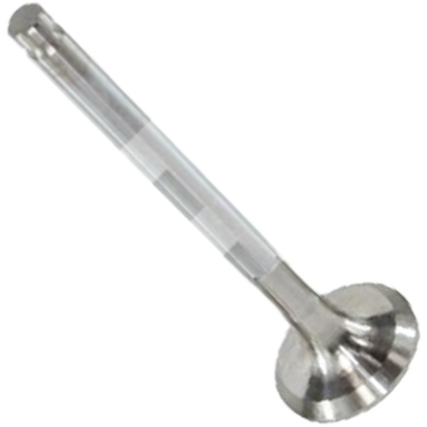 Válvula de Escape - Mahle Metal Leve - VE0480055 STD