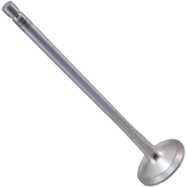 Válvula de Escape - Mahle Metal Leve - VE0481487 STD