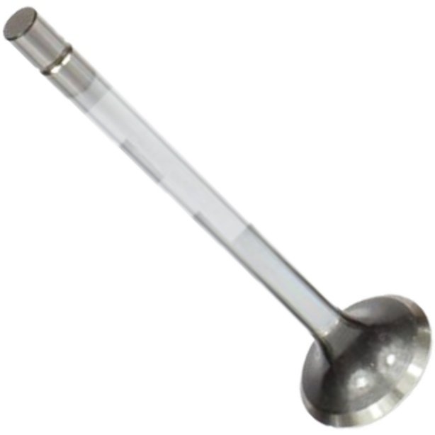 Válvula de Escape - Mahle Metal Leve - VE0710064 STD
