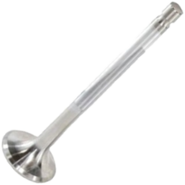Válvula de Escape - Mahle Metal Leve - VE0760012 STD