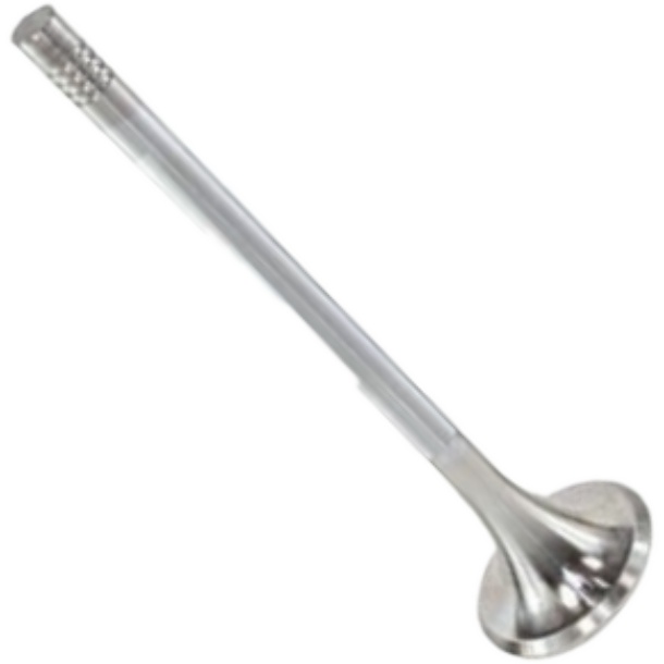 Válvula de Escape - Mahle Metal Leve - VE0761424 STD