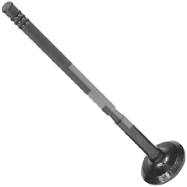 Válvula de Escape - Mahle Metal Leve - VE0251611 STD