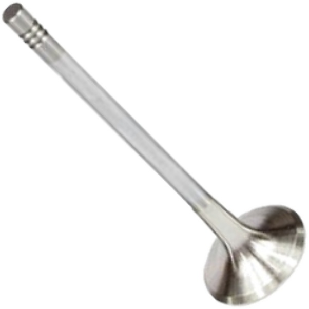 Válvula de Escape - Mahle Metal Leve - VE0700243 STD