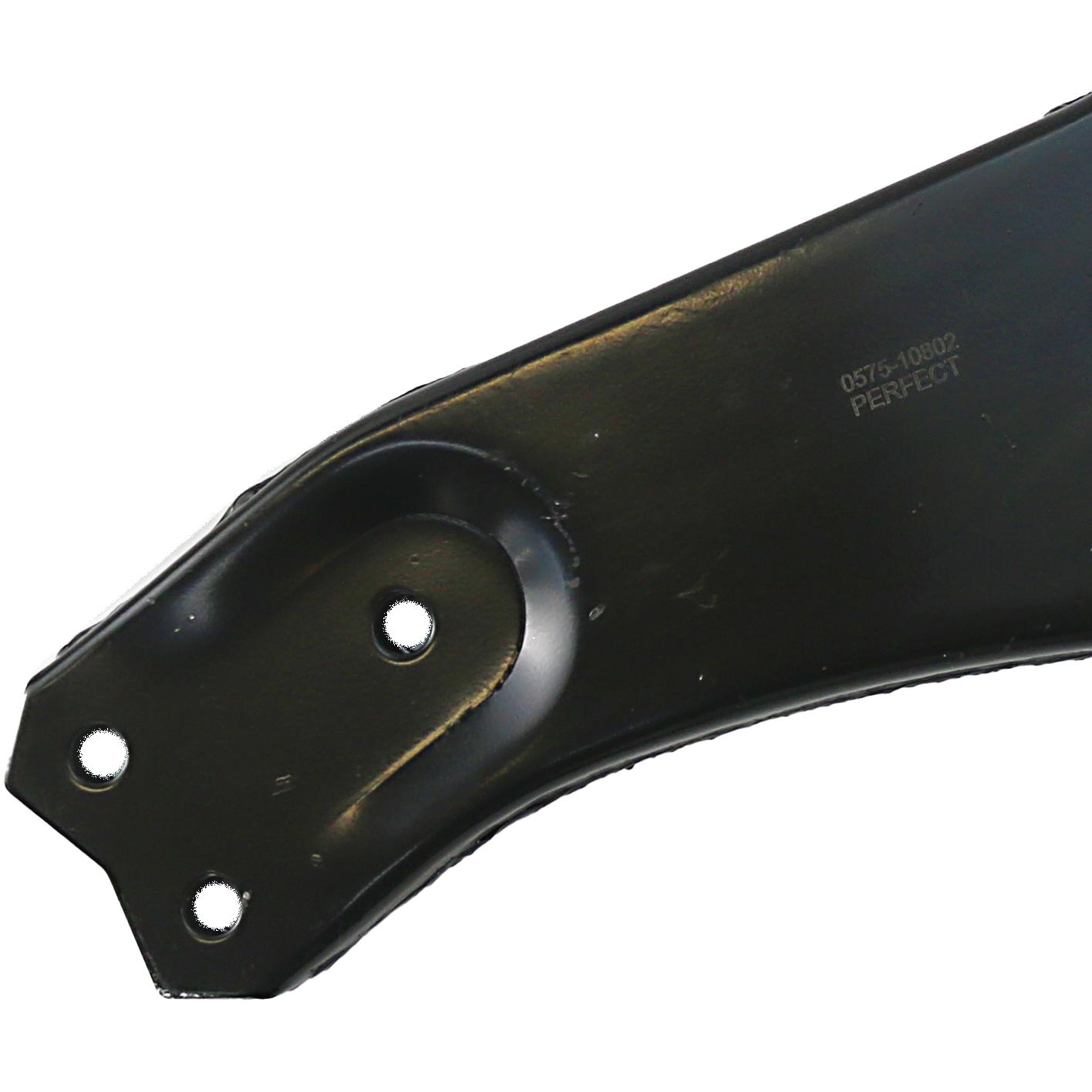 Bandeja Suspensão Inferior Esquerdo para Ford Focus - Perfect - BDJ9851SP