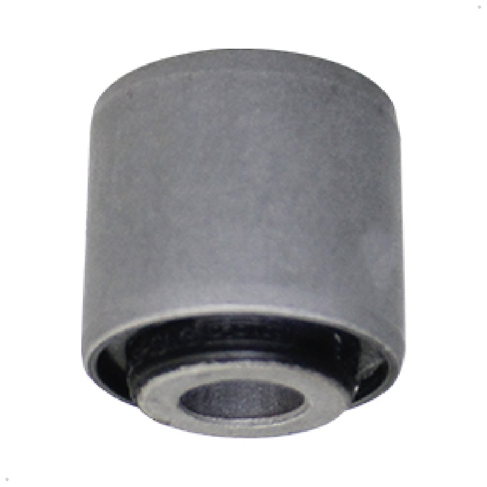 Bucha do Braço Traseira Reto para Ford Focus e Focus Sedan - Sampel - 2789