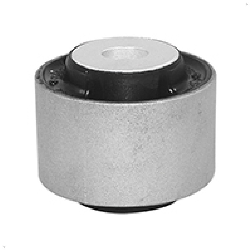 Bucha Traseira da Bandeja Dianteira para Ford Ecosport - Sampel - 2753