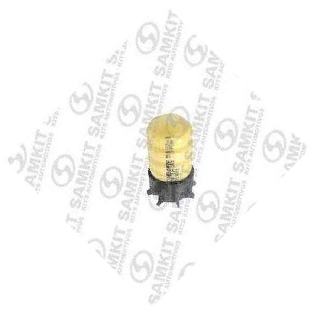 Kit Amortecedor Traseiro 1 Lado para Citroen C3 - Sampel - SK859S